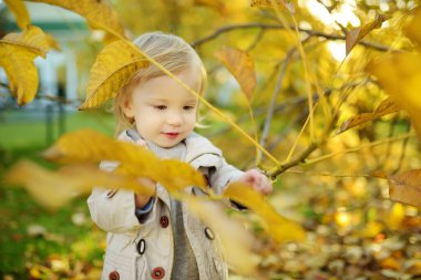 Komik çocuk güneşli bir sonbahar gününde dışarıda eğleniyor. Doğayı keşfeden çocuk. Şehir parkında oynayan bir çocuk. Küçük çocuklar için sonbahar aktiviteleri.