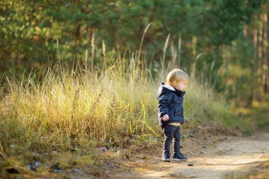 Komik çocuk güneşli bir sonbahar gününde dışarıda eğleniyor. Doğayı keşfeden çocuk. Şehir parkında oynayan bir çocuk. Küçük çocuklar için sonbahar aktiviteleri.