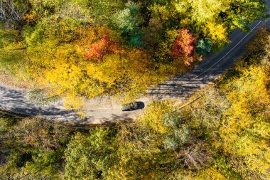 Yeşil ve sarı ağaçlı sonbahar ormanının yukarıdan görünüşü. Sonbahar ormanlarının arasında yol dolanıyor. Litvanya 'nın Vilnius şehrinde güzel bir sonbahar manzarası