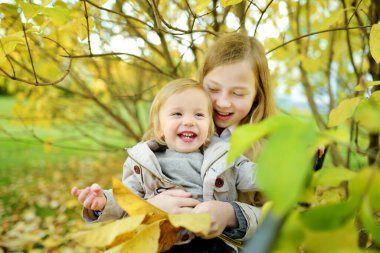 Komik çocuk ve ablası güneşli bir sonbahar gününde dışarıda eğleniyorlar. Doğayı keşfeden çocuklar. Şehir parkında yürüyen çocuklar. Küçük çocuklar için sonbahar aktiviteleri.