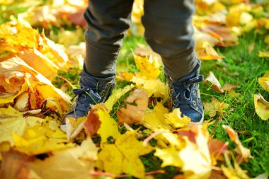 Komik çocuk güneşli bir sonbahar gününde dışarıda eğleniyor. Doğayı keşfeden çocuk. Şehir parkında oynayan bir çocuk. Küçük çocuklar için sonbahar aktiviteleri.
