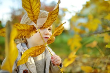 Komik çocuk güneşli bir sonbahar gününde dışarıda eğleniyor. Doğayı keşfeden çocuk. Şehir parkında oynayan bir çocuk. Küçük çocuklar için sonbahar aktiviteleri.