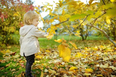 Komik çocuk güneşli bir sonbahar gününde dışarıda eğleniyor. Doğayı keşfeden çocuk. Şehir parkında oynayan bir çocuk. Küçük çocuklar için sonbahar aktiviteleri.