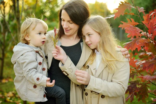 Moeder Haar Twee Kinderen Hebben Plezier Buiten Zonnige Herfstdag Kinderen — Stockfoto