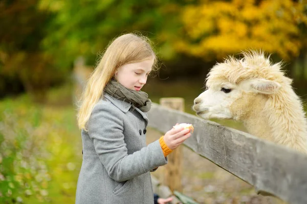 Menina Bonito Acariciando Uma Alpaca Zoológico Fazenda Dia Outono Criança — Fotografia de Stock