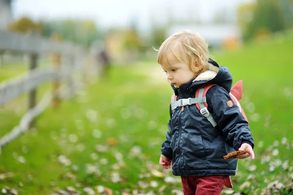 Grappige Peuter Die Buiten Plezier Heeft Zonnige Herfstdag Kind Dat — Stockfoto