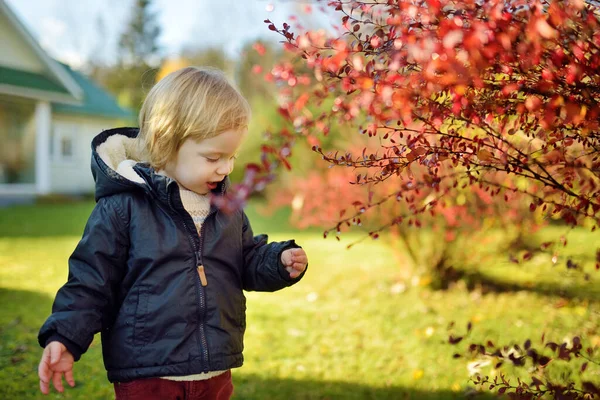 Menino Engraçado Criança Divertindo Livre Dia Ensolarado Outono Criança Explorando — Fotografia de Stock