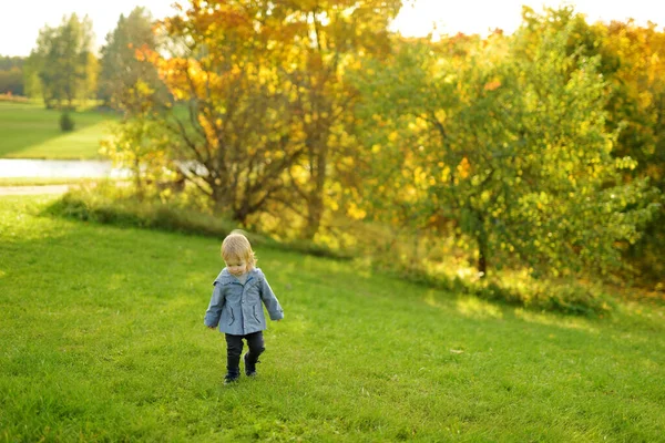 Grappige Peuter Die Buiten Plezier Heeft Zonnige Herfstdag Kind Dat — Stockfoto