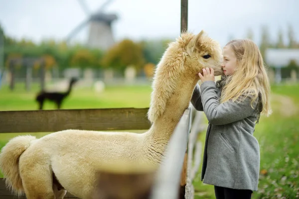 Menina Bonito Acariciando Uma Alpaca Zoológico Fazenda Dia Outono Criança — Fotografia de Stock