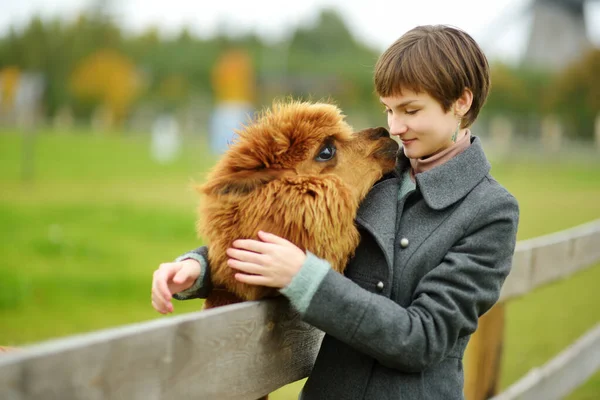 Menina Bonito Acariciando Uma Alpaca Zoológico Fazenda Dia Outono Criança — Fotografia de Stock