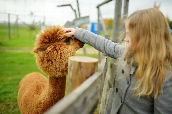 Menina Bonito Acariciando Uma Alpaca Zoológico Fazenda Dia Outono Criança — Fotografia de Stock