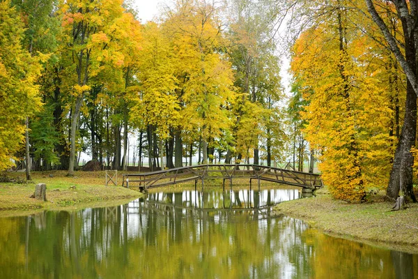 Colorful city park scene in the fall with orange and yellow foliage. Beautiful autumn scenery in Birzai, Lithuania