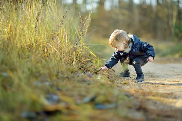 Menino Engraçado Criança Divertindo Livre Dia Ensolarado Outono Criança Explorando — Fotografia de Stock