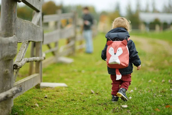 Lustige Kleinkind Jungen Spaß Freien Einem Sonnigen Herbsttag Kind Erkundet — Stockfoto