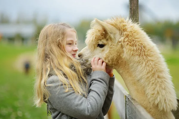 秋天的一天 一个可爱的小女孩在农场动物园里抚摸着一只羊驼 孩子们在动物农场喂美洲驼 秋天在爱抚动物园里的小孩户外活动儿童 — 图库照片