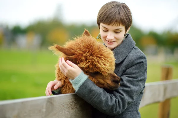 秋天的一天 一个可爱的小女孩在农场动物园里抚摸着一只羊驼 孩子们在动物农场喂美洲驼 秋天在爱抚动物园里的小孩户外活动儿童 — 图库照片