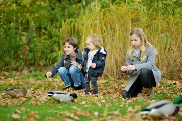 Cute Toddler Boy His Two Older Sisters Feeding Ducks Autumn — Stock Photo, Image