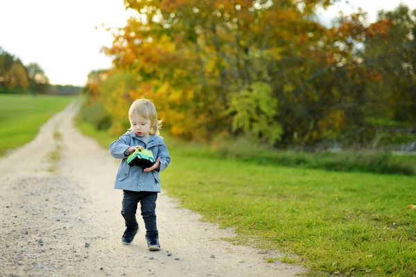 Grappige Peuter Die Buiten Plezier Heeft Zonnige Herfstdag Kind Dat — Stockfoto