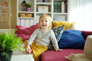 Oturma odasındaki kanepede oturan tatlı çocuk. Küçük çocuk oyuncaklarla eğleniyor. Çocuk evde vakit geçiriyor. Evde aile eğlencesi..
