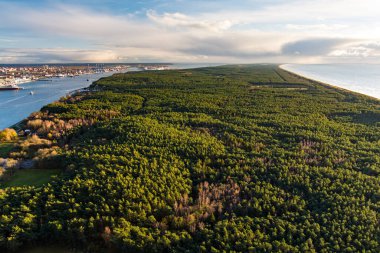 Çam ormanlarıyla kaplı Curonian tükürüğünün havadan görünüşü. Curonian Gölünü Baltık Denizi kıyısından ayıran kıvrımlı kum tepeciği. Klaipeda, Litvanya.