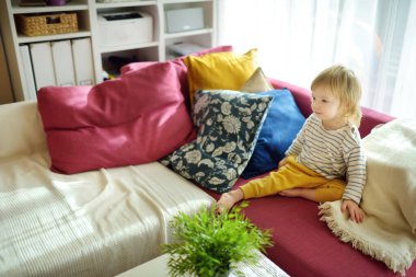 Oturma odasındaki kanepede oturan tatlı çocuk. Küçük çocuk oyuncaklarla eğleniyor. Çocuk evde vakit geçiriyor. Evde aile eğlencesi..