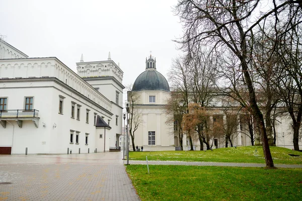 Palace Grand Dukes Lithuania Palace Vilnius Originally Constructed 15Th Century — Stock Photo, Image