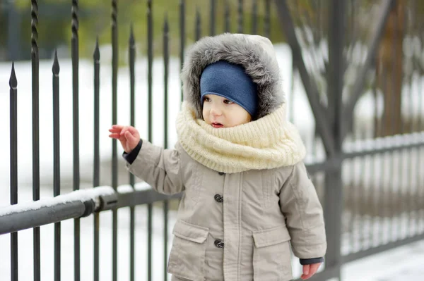 Schattige Peuter Jongen Heeft Plezier Een Achtertuin Besneeuwde Winterdag Schattig — Stockfoto