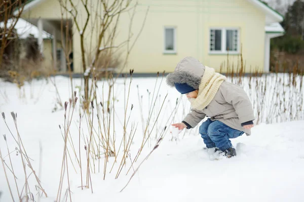 Uroczy Chłopczyk Bawiący Się Podwórku Śnieżny Zimowy Dzień Cute Dziecko — Zdjęcie stockowe