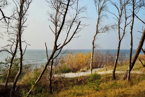 Beautiful View Baltic Sea Shore Line Klaipeda City Lithuania Scenic — Stock Photo, Image