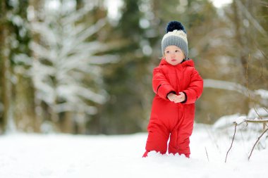 Tatlı çocuk serin kış günlerinde karla kaplı bir çam ormanında yürüyüş yaparken eğleniyor. Doğayı keşfeden çocuk. Küçük çocuklar için kış aktiviteleri.