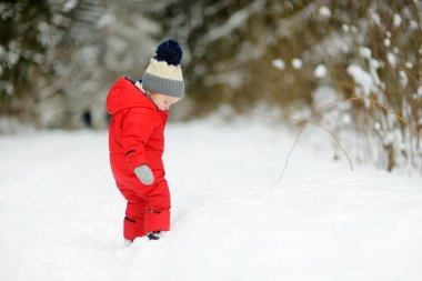 Tatlı çocuk serin kış günlerinde karla kaplı bir çam ormanında yürüyüş yaparken eğleniyor. Doğayı keşfeden çocuk. Küçük çocuklar için kış aktiviteleri.