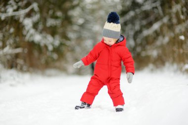 Tatlı çocuk serin kış günlerinde karla kaplı bir çam ormanında yürüyüş yaparken eğleniyor. Doğayı keşfeden çocuk. Küçük çocuklar için kış aktiviteleri.