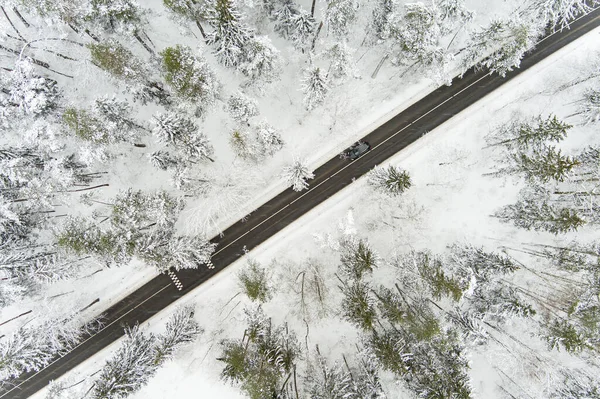 Hermosa Vista Aérea Bosques Pinos Cubiertos Nieve Camino Serpenteante Entre — Foto de Stock