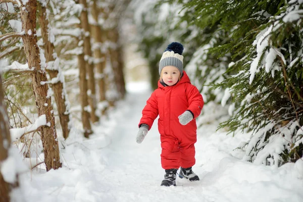 Cute Toddler Boy Having Fun Walk Snow Covered Pine Forest — Stock Photo, Image
