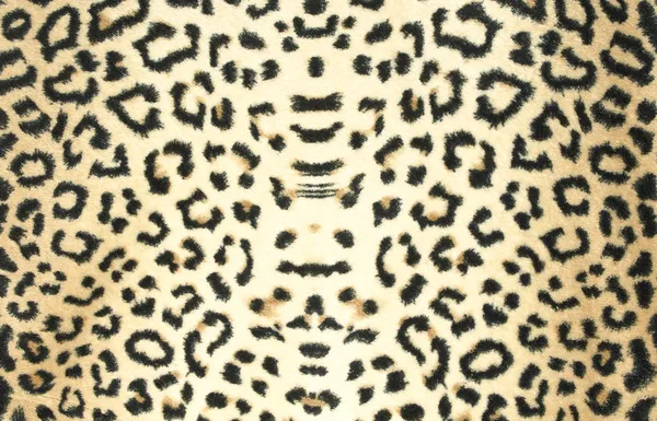 Leopard skin cloth fur background Stock Image