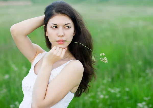 Retrato de menina bonita no campo — Fotografia de Stock