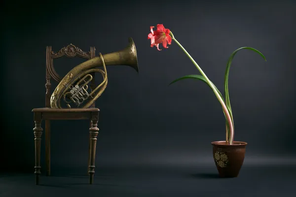 Sammansättningen av en gammal stol, en trombon och en röd blomma i kruka. — Stockfoto