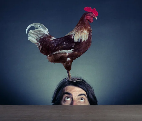 Rooster stands on the head of a man. — Stock Photo, Image