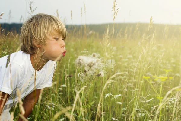 Niño soplando lejos flor de diente de león — Foto de Stock