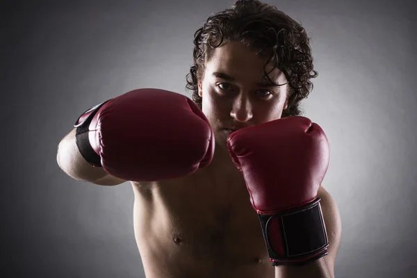 Young Boxer harcos — Stock Fotó