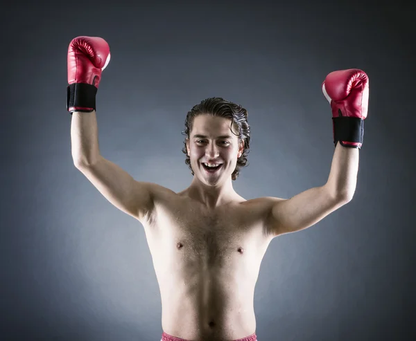 Boxer vinnare — Stockfoto