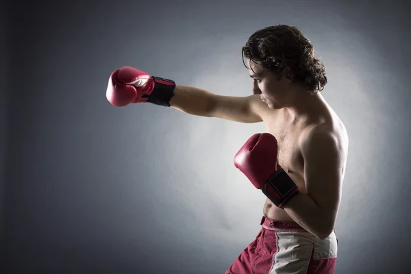 Young Boxer harcos — Stock Fotó