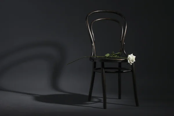 Retro chair and a white rose — Stock Photo, Image