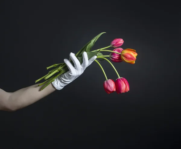 Ręka trzyma tulipany — Zdjęcie stockowe