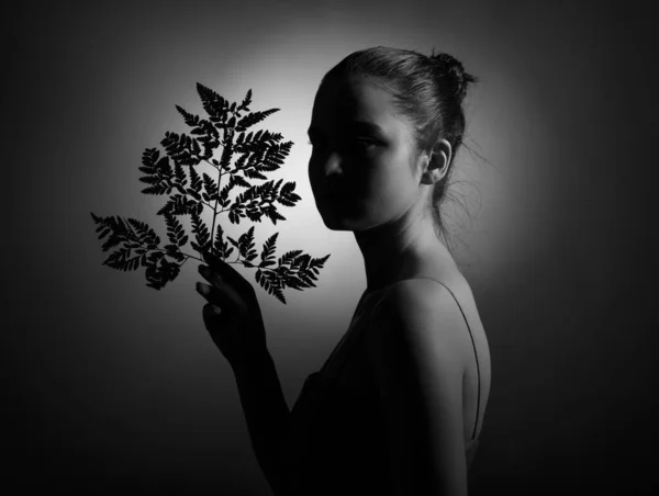 在黑暗的背景下 一个拿着植物枝条的年轻女人的轮廓 黑白照片 — 图库照片
