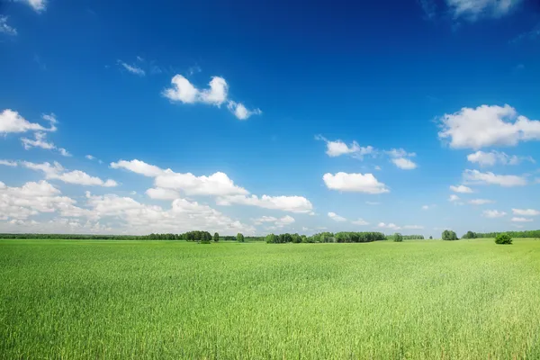 Agrarische landschap Rechtenvrije Stockfoto's
