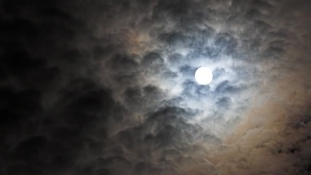 Księżyca w nocy — Wideo stockowe