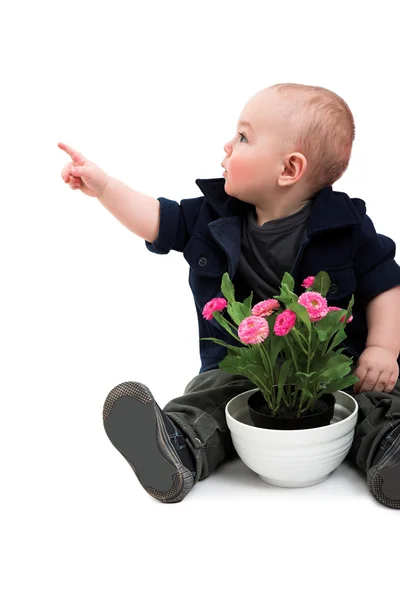 Niño con planta de la casa —  Fotos de Stock