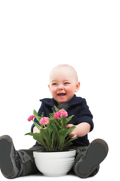 Boy with house plant — Stock Photo, Image
