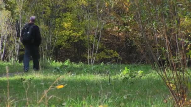 Ormanın içinden gidiş bir sırt çantası olan bir adam — Stok video